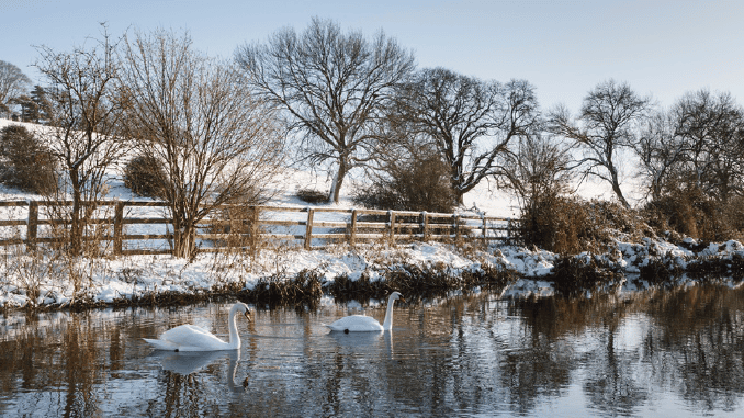 ISO 45001 Consultants in Hertfordshire