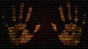 Data Protection Consultants