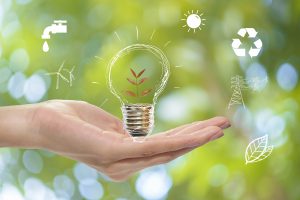 The Evolution of the Environmental Management System - Ideas on how to protect the environment