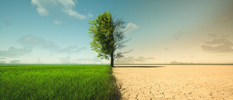 Climate Change
